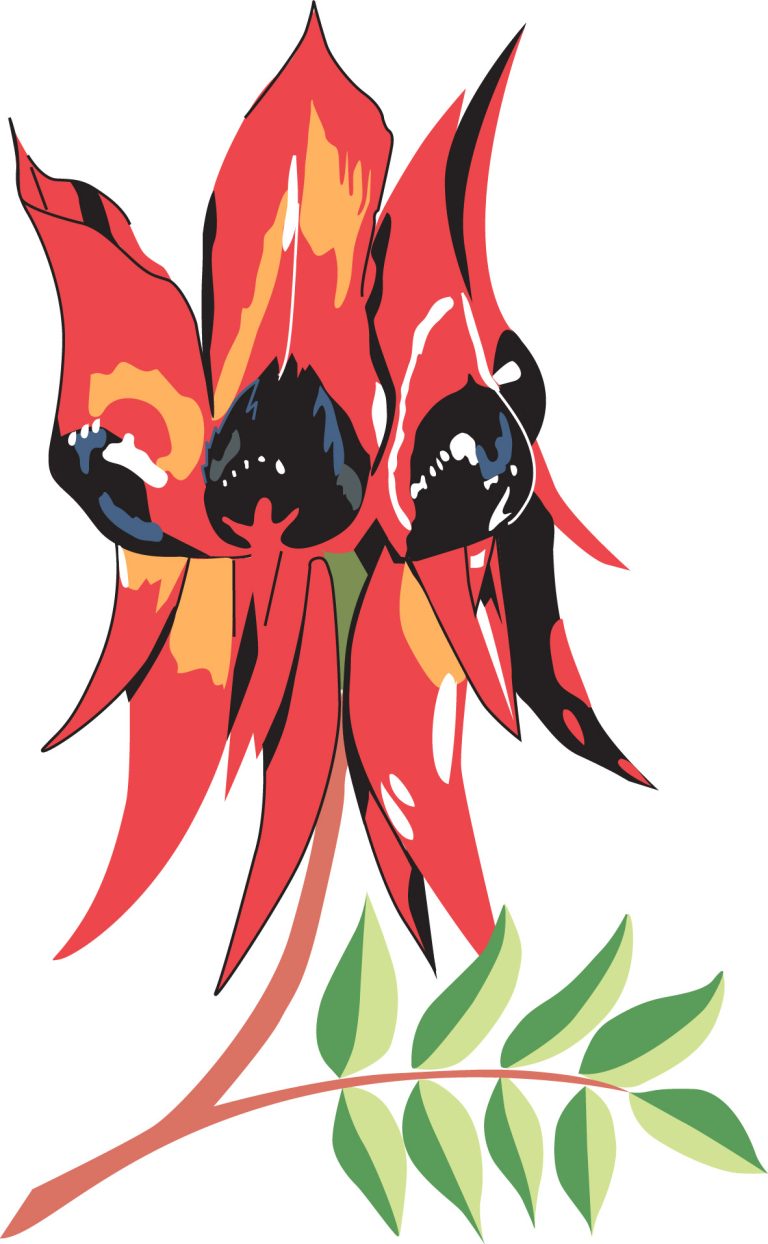 The Federation Press